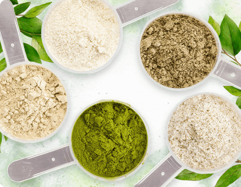 ProDentim Supplement: A Deep Dive into Nature's Finest Dental Ingredients